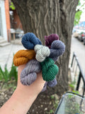 Julie Asselin Leizu DK Mini Skein Bundles