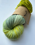 Lichen & Lace Eco Worsted