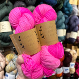 Lichen & Lace 80/20 Sock