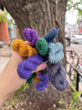Julie Asselin Leizu DK Mini Skein Bundles