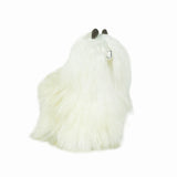Pokoloko Suri Alpacas