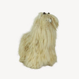 Pokoloko Suri Alpacas