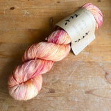 Lichen & Lace 1ply Fingering