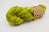 Lichen & Lace 80/20 Sock