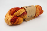 Lichen & Lace 80/20 Sock