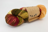 Lichen & Lace 80/20 Sock