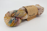 Lichen & Lace 80/20 Sock