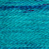 Trailhead Acorn Embroidery Threads
