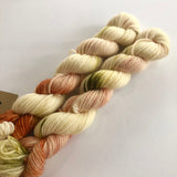 Lichen & Lace Mini Skeins