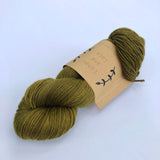 Lichen & Lace 80/20 Sock