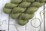 Julie Asselin Nomade BFL