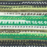 Lang Merino 120 Colour