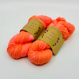 Lichen & Lace 80/20 Sock