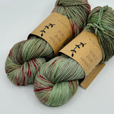 Lichen & Lace Eco Worsted