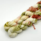 Lichen & Lace Mini Skeins
