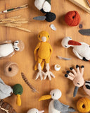 Edward's Menagerie: Birds