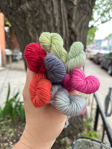 Julie Asselin Leizu DK Mini Skein Bundles