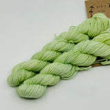 Lichen & Lace Mini Skeins