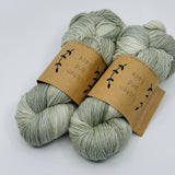 Lichen & Lace 80/20 Sock