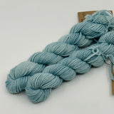Lichen & Lace Mini Skeins