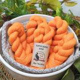 Alley Cat Yarns Super Sock Mini Skeins