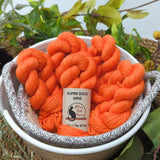 Alley Cat Yarns Super Sock Mini Skeins