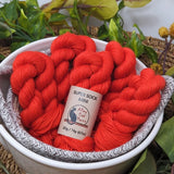 Alley Cat Yarns Super Sock Mini Skeins
