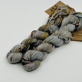 Lichen & Lace Mini Skeins