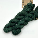 Lichen & Lace Mini Skeins