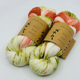 Lichen & Lace 80/20 Sock