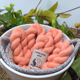 Alley Cat Yarns Super Sock Mini Skeins