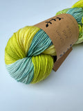 Lichen & Lace 80/20 Sock