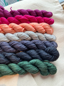 Julie Asselin Leizu DK Mini Skein Bundles