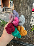 Julie Asselin Leizu DK Mini Skein Bundles