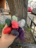 Julie Asselin Leizu DK Mini Skein Bundles
