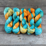 Lichen & Lace 80/20 Sock