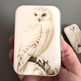 Firefly Notes Notion Tins