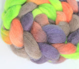The Fiber Imp Hand Painted Roving