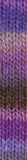 Noro Kureyon