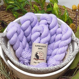Alley Cat Yarns Super Sock Mini Skeins