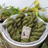 Alley Cat Yarns Super Sock Mini Skeins