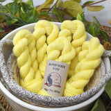 Alley Cat Yarns Super Sock Mini Skeins