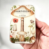 Firefly Notes Notion Tins