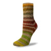Flotte Sock 4ply Perfect Tropical