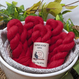 Alley Cat Yarns Super Sock Mini Skeins
