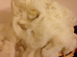 Fibre for Felting and Toy Stuffing